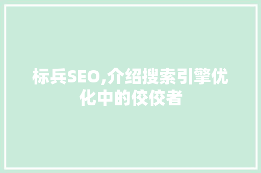 标兵SEO,介绍搜索引擎优化中的佼佼者  第1张