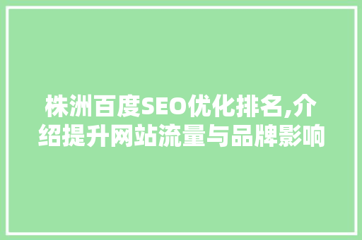 株洲百度SEO优化排名,介绍提升网站流量与品牌影响力的方法