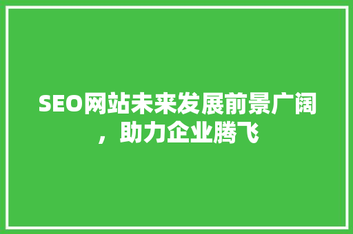 SEO网站未来发展前景广阔，助力企业腾飞