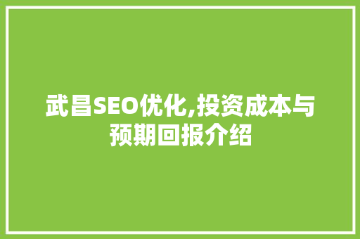 武昌SEO优化,投资成本与预期回报介绍  第1张