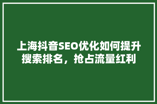 上海抖音SEO优化如何提升搜索排名，抢占流量红利