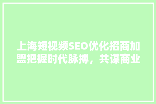 上海短视频SEO优化招商加盟把握时代脉搏，共谋商业新篇章