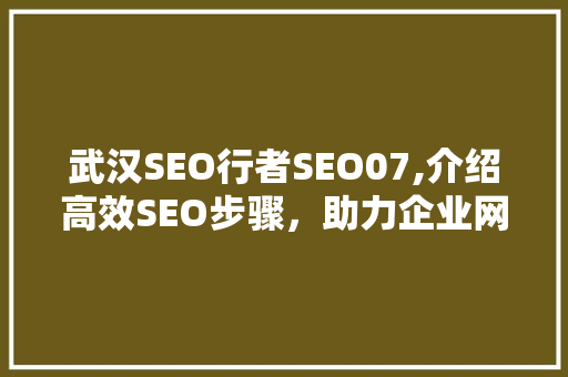 武汉SEO行者SEO07,介绍高效SEO步骤，助力企业网站优化