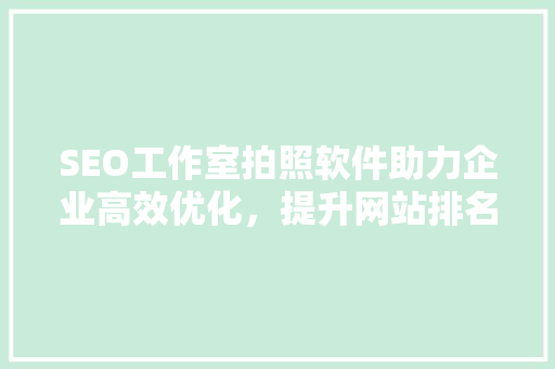 SEO工作室拍照软件助力企业高效优化，提升网站排名