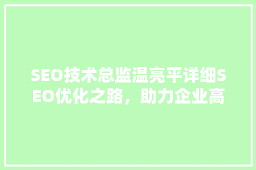 SEO技术总监温亮平详细SEO优化之路，助力企业高效提升网站排名