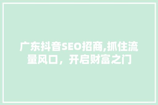 广东抖音SEO招商,抓住流量风口，开启财富之门