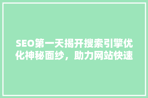 SEO第一天揭开搜索引擎优化神秘面纱，助力网站快速起飞