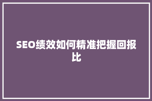 SEO绩效如何精准把握回报比