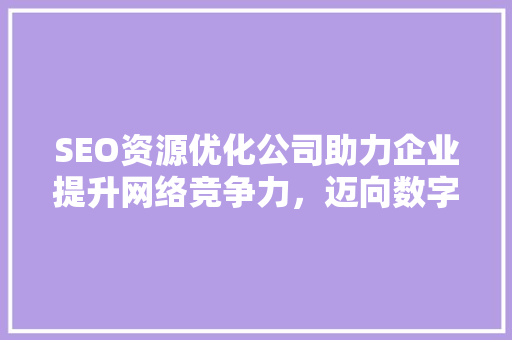 SEO资源优化公司助力企业提升网络竞争力，迈向数字营销新时代