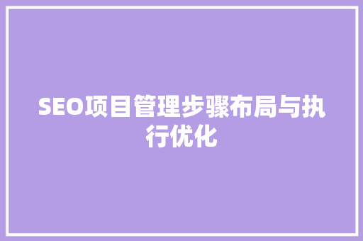 SEO项目管理步骤布局与执行优化