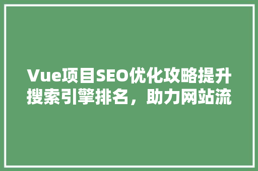Vue项目SEO优化攻略提升搜索引擎排名，助力网站流量增长  第1张