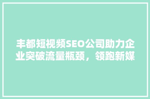 丰都短视频SEO公司助力企业突破流量瓶颈，领跑新媒体营销时代