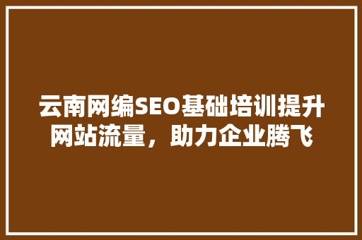 云南网编SEO基础培训提升网站流量，助力企业腾飞