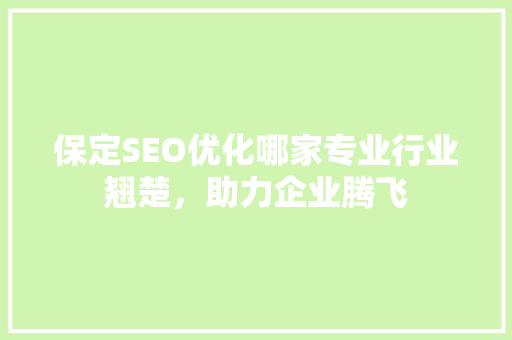 保定SEO优化哪家专业行业翘楚，助力企业腾飞  第1张