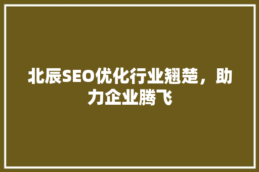 北辰SEO优化行业翘楚，助力企业腾飞