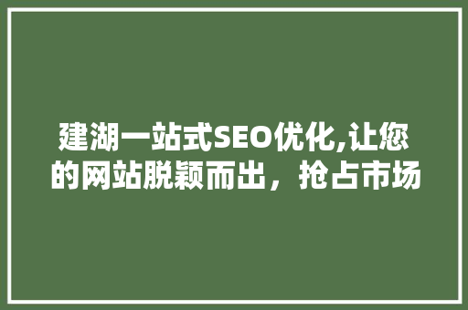 建湖一站式SEO优化,让您的网站脱颖而出，抢占市场先机