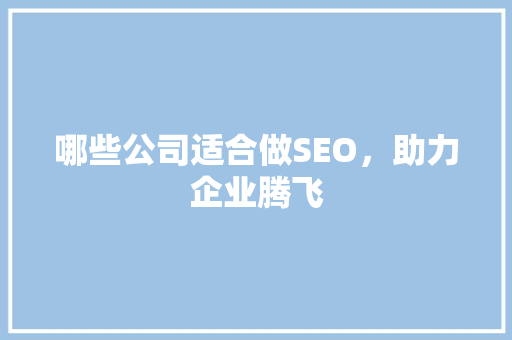 哪些公司适合做SEO，助力企业腾飞