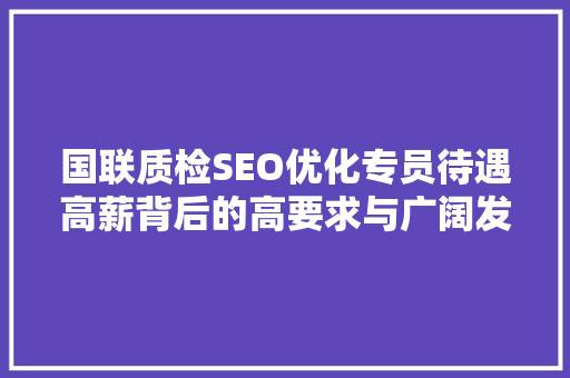国联质检SEO优化专员待遇高薪背后的高要求与广阔发展前景