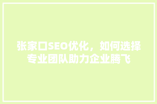 张家口SEO优化，如何选择专业团队助力企业腾飞