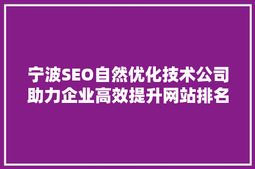 宁波SEO自然优化技术公司助力企业高效提升网站排名  第1张