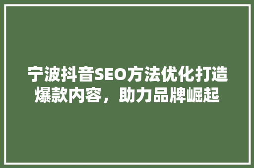 宁波抖音SEO方法优化打造爆款内容，助力品牌崛起