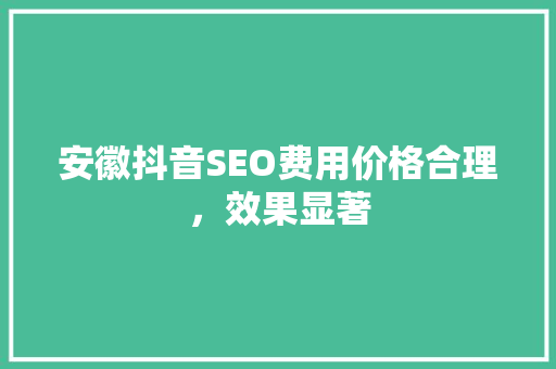 安徽抖音SEO费用价格合理，效果显著  第1张