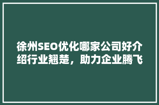 徐州SEO优化哪家公司好介绍行业翘楚，助力企业腾飞