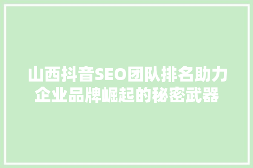 山西抖音SEO团队排名助力企业品牌崛起的秘密武器