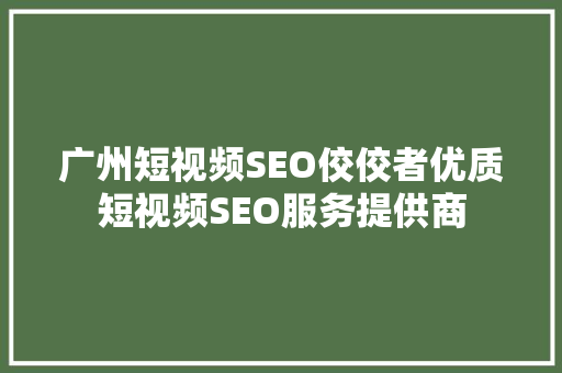广州短视频SEO佼佼者优质短视频SEO服务提供商