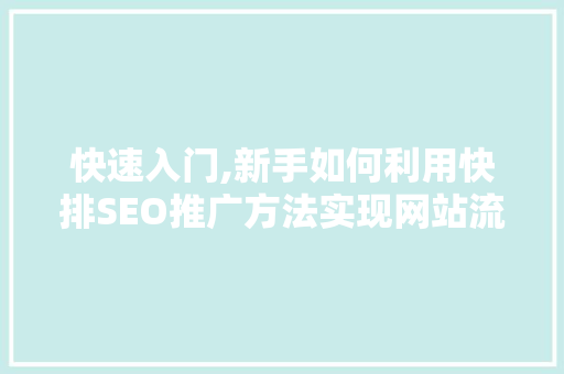 快速入门,新手如何利用快排SEO推广方法实现网站流量提升