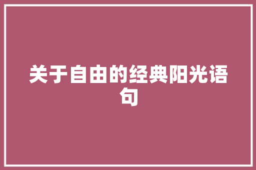惠州企业SEO推广价格价比之选，助力企业腾飞