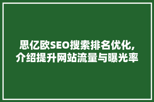 思亿欧SEO搜索排名优化,介绍提升网站流量与曝光率的方法  第1张