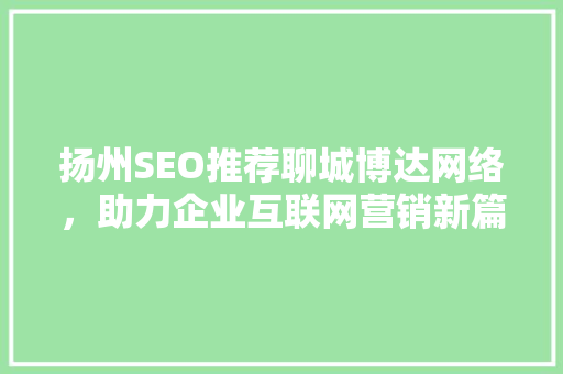 扬州SEO推荐聊城博达网络，助力企业互联网营销新篇章  第1张