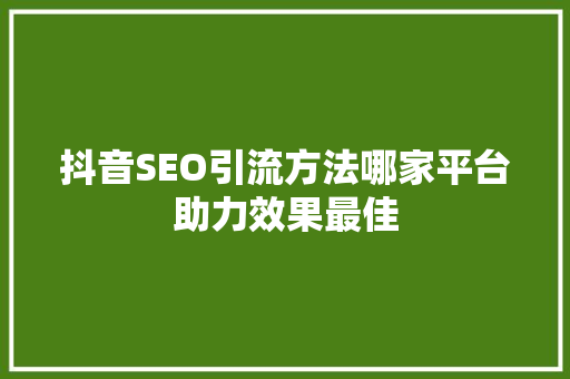 抖音SEO引流方法哪家平台助力效果最佳