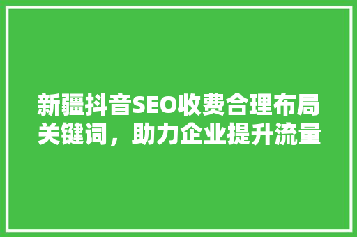 新疆抖音SEO收费合理布局关键词，助力企业提升流量与转化