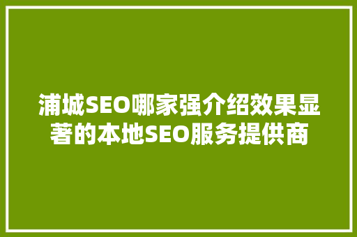 浦城SEO哪家强介绍效果显著的本地SEO服务提供商  第1张