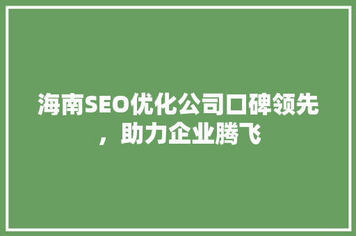 海南SEO优化公司口碑领先，助力企业腾飞