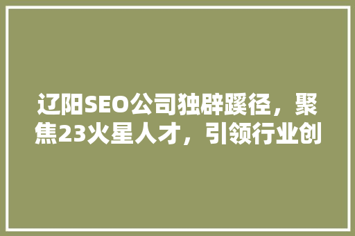 辽阳SEO公司独辟蹊径，聚焦23火星人才，引领行业创新