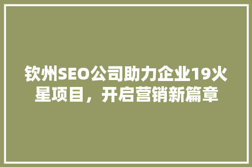 钦州SEO公司助力企业19火星项目，开启营销新篇章