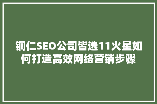 铜仁SEO公司皆选11火星如何打造高效网络营销步骤