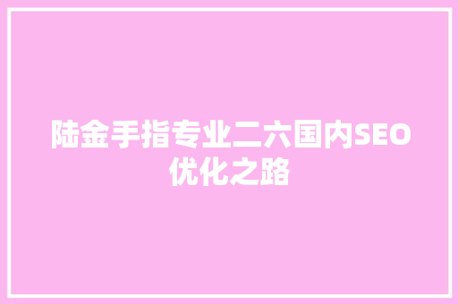 陆金手指专业二六国内SEO优化之路