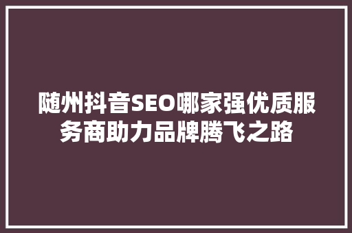 随州抖音SEO哪家强优质服务商助力品牌腾飞之路