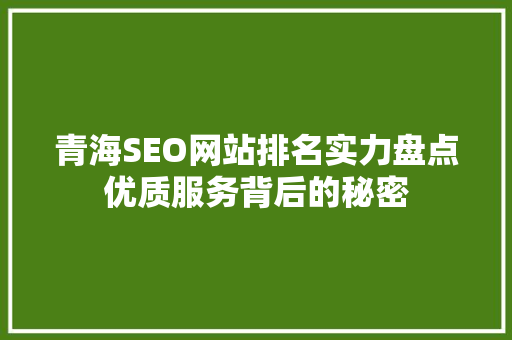 青海SEO网站排名实力盘点优质服务背后的秘密