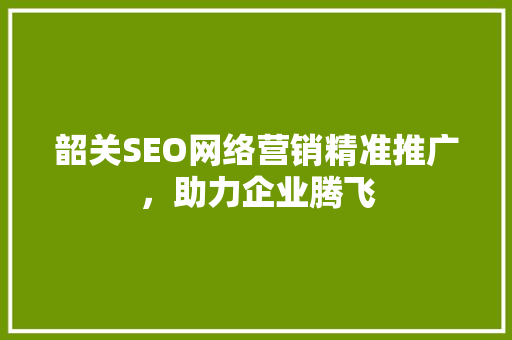 韶关SEO网络营销精准推广，助力企业腾飞