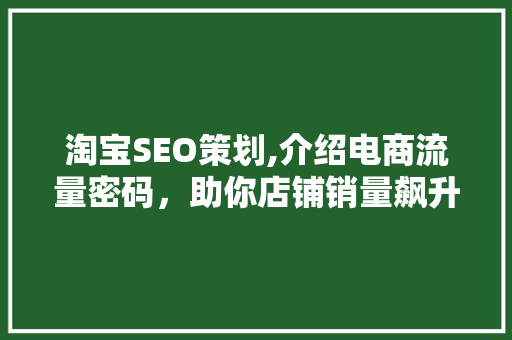 淘宝SEO策划,介绍电商流量密码，助你店铺销量飙升  第1张
