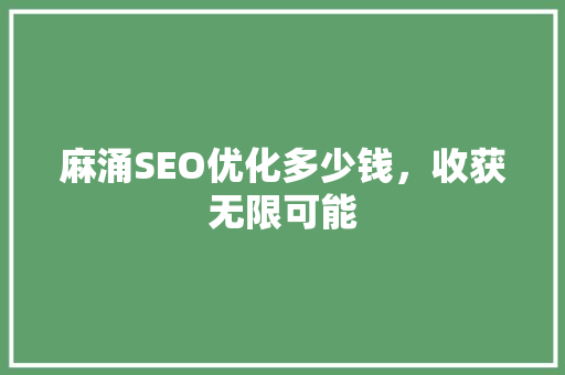 麻涌SEO优化多少钱，收获无限可能