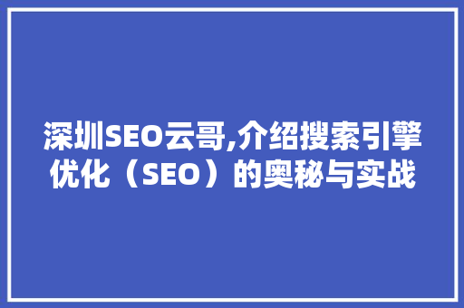 深圳SEO云哥,介绍搜索引擎优化（SEO）的奥秘与实战方法  第1张