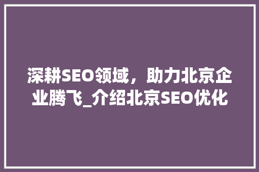 深耕SEO领域，助力北京企业腾飞_介绍北京SEO优化之路