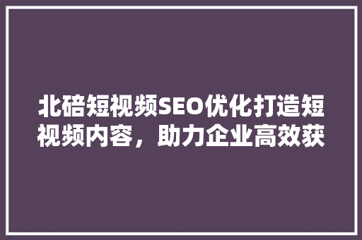 北碚短视频SEO优化打造短视频内容，助力企业高效获客