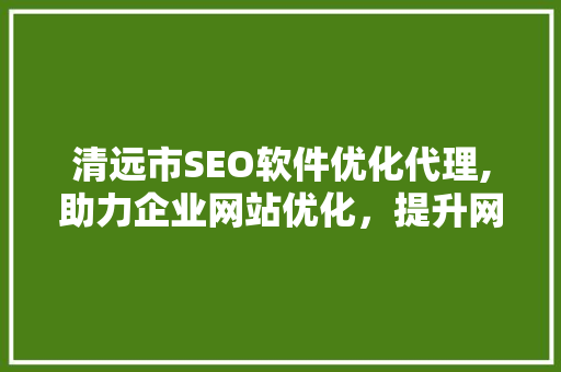 清远市SEO软件优化代理,助力企业网站优化，提升网络竞争力